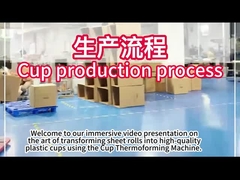 পিএলসি প্লাস্টিক থার্মোফর্মিং মেশিন 750 * 500 মিমি গঠন এলাকা সঙ্গে